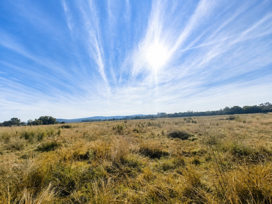 Commercial Property for Sale in Swartruggens North West